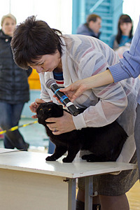 click for enlarge 1920 X 2880 364,5 Kb picture
