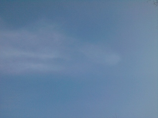 click for enlarge 1280 X 960 265,6 Kb picture