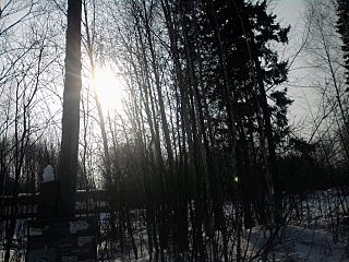 click for enlarge 1280 X 960 762,5 Kb picture