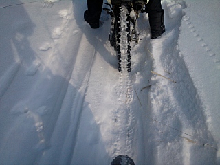 click for enlarge 1280 X 960 408,3 Kb picture