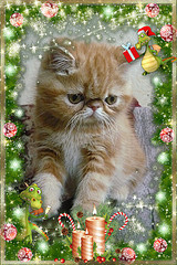 click for enlarge 300 X 450  81,9 Kb picture