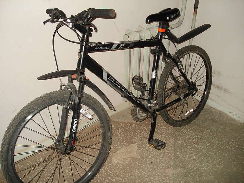 click for enlarge 1920 X 1440 241,9 Kb picture