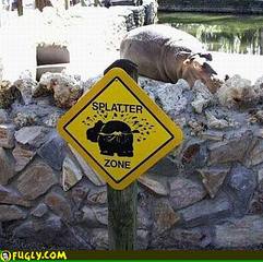 click for enlarge 450 X 448  40,8 Kb picture