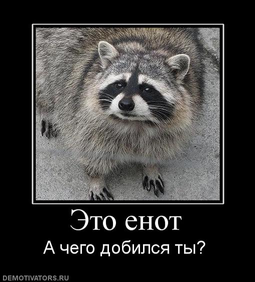 510 x 565
