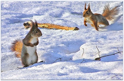 click for enlarge 650 X 427 146,1 Kb picture