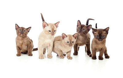 click for enlarge 800 X 504  61,3 Kb picture