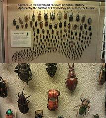 click for enlarge 503 X 559  75,2 Kb picture