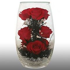 click for enlarge 270 X 270 10,7 Kb picture