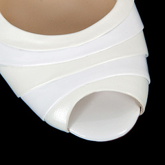 click for enlarge 800 X 800 104,3 Kb picture