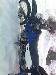 click for enlarge 1536 X 2048 527,8 Kb picture