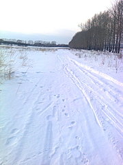 click for enlarge 1536 X 2048 476,2 Kb picture