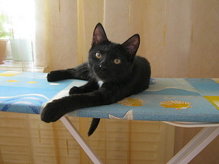 click for enlarge 1920 X 1440 459,7 Kb picture