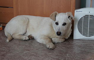 click for enlarge 1000 X 639 112,4 Kb picture