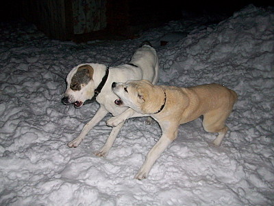 click for enlarge 800 X 600 144,2 Kb picture