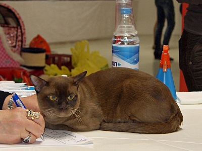 click for enlarge 800 X 600 117,2 Kb picture