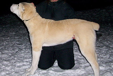 click for enlarge 800 X 541 119,0 Kb picture