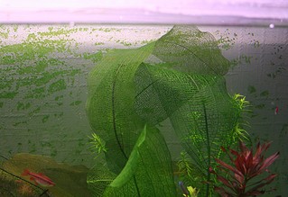 click for enlarge 1084 X 744 209,7 Kb picture