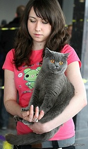 click for enlarge 296 X 500 47,8 Kb picture