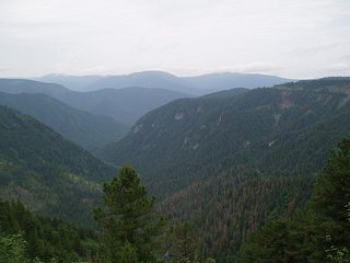 click for enlarge 604 X 453 34,0 Kb picture