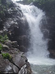click for enlarge 359 X 480 33,4 Kb picture