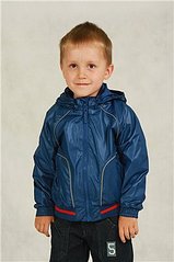 click for enlarge 266 X 400 17,4 Kb picture