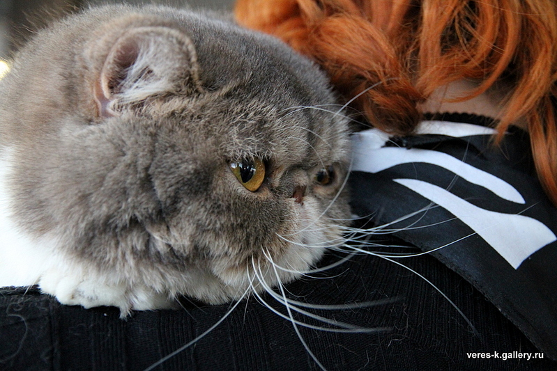 click for enlarge 1024 X 683 385,3 Kb picture