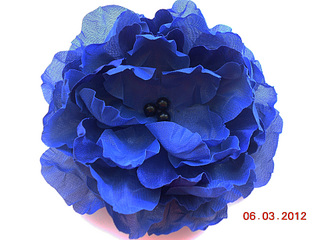 click for enlarge 1920 X 1440 286,3 Kb picture