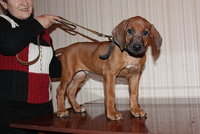 click for enlarge 1024 X 683 268,5 Kb picture