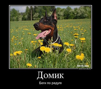 click for enlarge 760 X 669  85,5 Kb picture