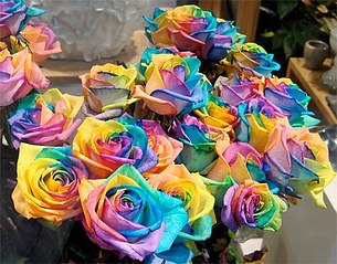 click for enlarge 450 X 353  58,4 Kb picture