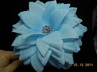 click for enlarge 320 X 240 29,7 Kb picture