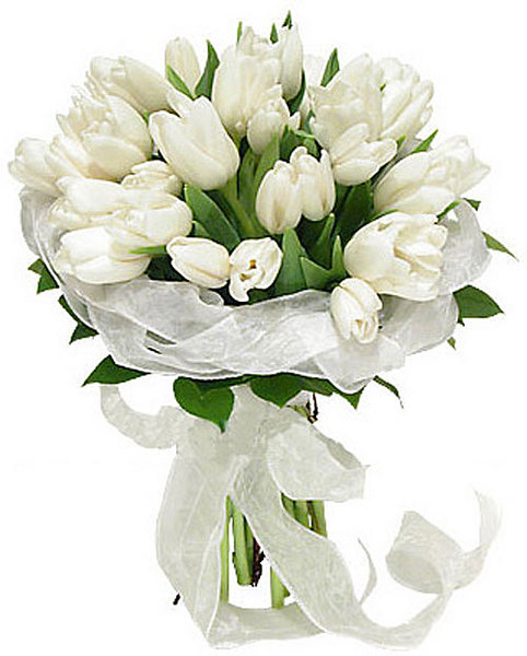 click for enlarge 500 X 622 48,5 Kb picture