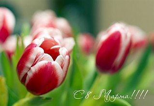 click for enlarge 550 X 377 24,0 Kb picture