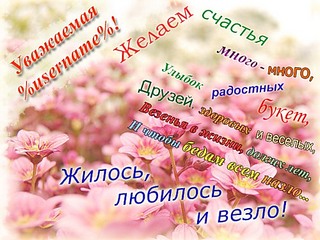 click for enlarge 500 X 375 65,2 Kb picture