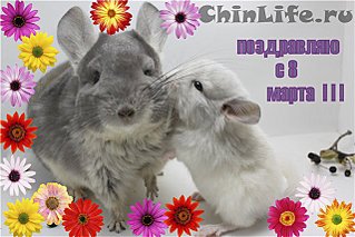 click for enlarge 640 X 427  59,3 Kb picture