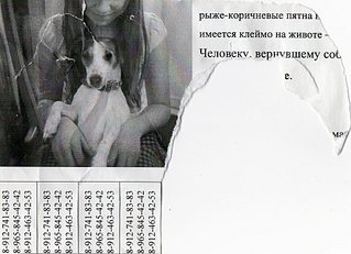 click for enlarge 1872 X 1356 574,8 Kb picture