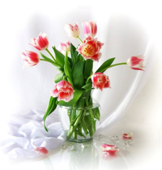 click for enlarge 665 X 699 431,6 Kb picture