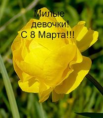 click for enlarge 698 X 800 68,1 Kb picture