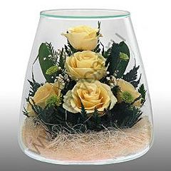 click for enlarge 270 X 270 16,3 Kb picture