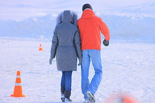 click for enlarge 807 X 538  60,8 Kb picture