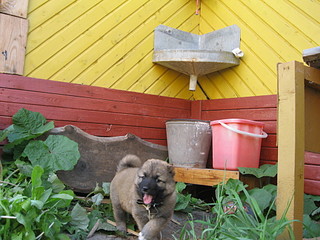 click for enlarge 1920 X 1440 570,6 Kb picture