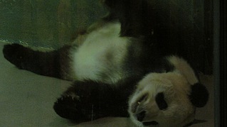 click for enlarge 807 X 453 73,7 Kb picture