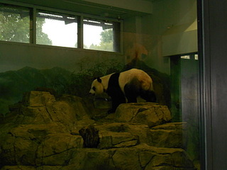 click for enlarge 1920 X 1440 608,7 Kb picture