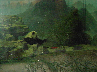 click for enlarge 1920 X 1440 772,9 Kb picture