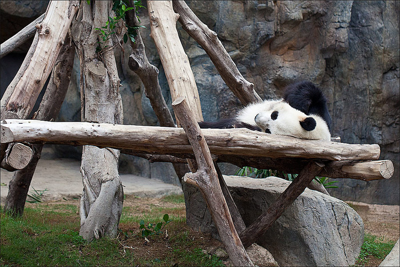 click for enlarge 900 X 600 206,0 Kb picture