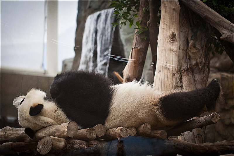 click for enlarge 900 X 600 121,1 Kb picture