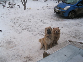 click for enlarge 1920 X 1440 527,3 Kb picture