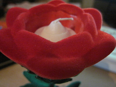 click for enlarge 1920 X 1440 586,9 Kb picture