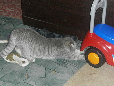 click for enlarge 1920 X 1440 427,2 Kb picture