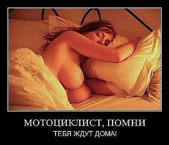 click for enlarge 450 X 385 39,4 Kb picture